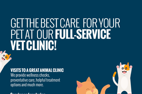 Best care sales pet clinic