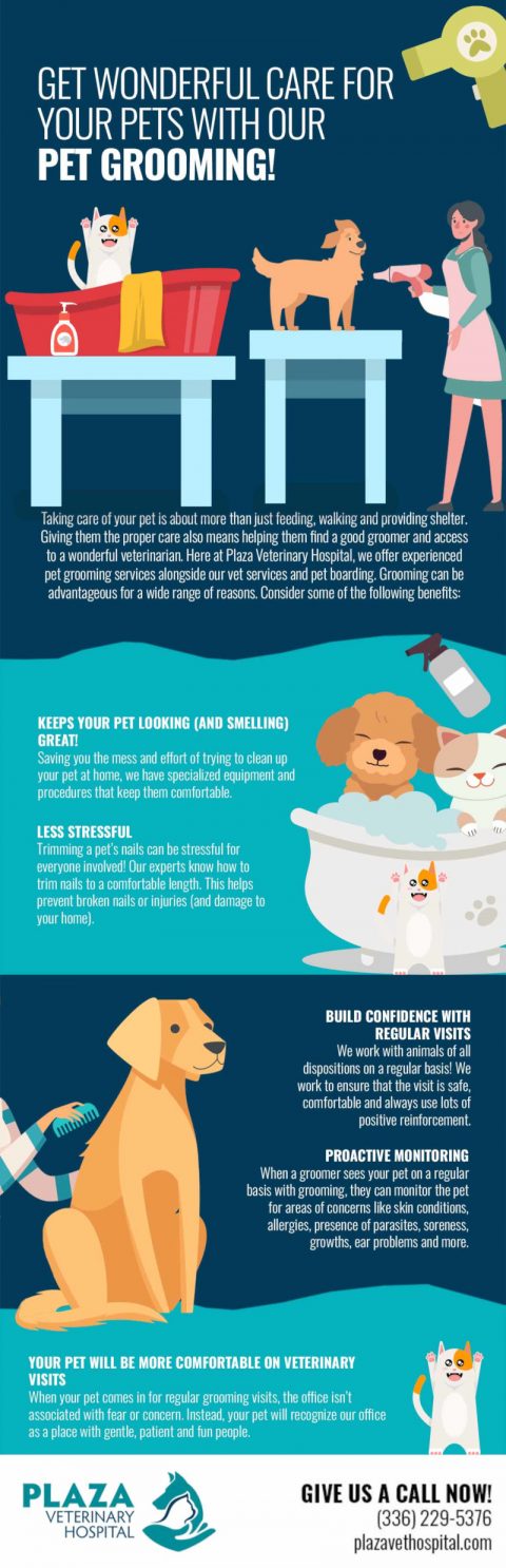 Get Wonderful Care for Your Pets with Our Pet Grooming! [infographic ...